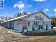 1563 Hwy 132, Admaston/Bromley, ON, K7V 3Z5 commercial...