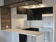 1565 Rue Rachel Est