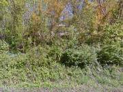 1570 Sandy Ridge Rd