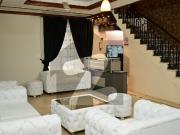 15 Bed Fully Furnished House For Rent in F 7