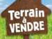 15 hectares à vendre à Capo Negro