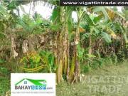 15 Hectares Raw Land Alfonso Cavite P350 per sqm near...