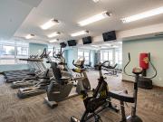 15 Maple Avenue 2 Bedroom Apartment for Rent at 15 Maple...