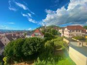 15 Zimmer Haus kaufen in Stuttgart 70329 355,6 m²