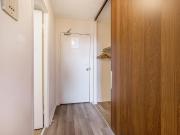 163 MacLaren St 1 Bedroom [object Promise] for Rent