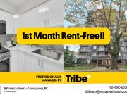 1655 Haro Street Up to 3 Months Free!