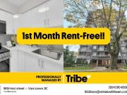 1655 Haro Street 1st Month Free!