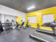 1655 Haro Street Up to 3 Months Free!