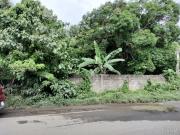 167 Hectares Agricultural Lot for Sale located in San...