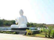 167 Sq.Yd. Plot in Bhogapuram Vizag Listing ID #9422