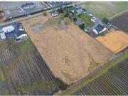 1695 Avenue, Surrey, BC, V3Z 1C8 house for sale |...