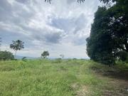 16.8 hectares Lot for Sale along Cabantian road Davao City