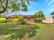 16 Hillrise Court, Wynn Vale, SA 5127