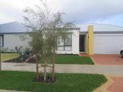 16 Marrara Street, Baldivis, WA 6171