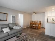 170 Amberway Apartments 1 Bedroom Apartment for Rent at...