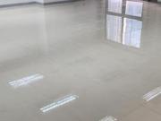 170 sqm Office Space in Tektite, Pasig City