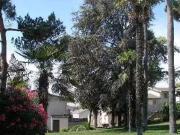 1711 Tanager Avenue 601 1711 Tanager Avenue