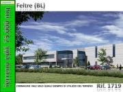 1719 Terreno Edif. 75.000 mq a Feltre BL Rif. 1719