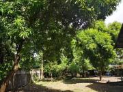 1736 sq.m. lot for sale in Las Piñas