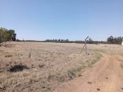 175 ha Farm with House in Jackaroo AH