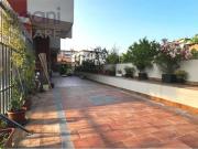 176 GRANDE 2 LOCALI CON CUCINA ABITABILE E TERRAZZO