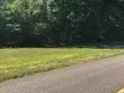 1776 POSEY RD, LAPINE, AL 36046