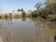 17.4 ha Farm in White River