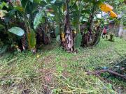 17.8M Lot For Sale Filinvest 2 Property Quezon City