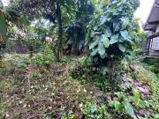 17.8M Lot with 511sqm For Sale in Filinvest 2 Bagong...