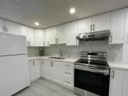 17 Alyward Street Apartment for Rent