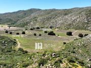 17 HA. EN COLINA VECINO ENCUENTRO GUADALUPE, VALLE DE...