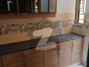 17 marla beautiful brig house available for rent in...