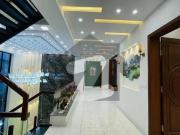 17 Marla Beautiful House Available For Rent In Buch...