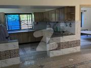 17 MARLA Brand New Ground Portion with Basement...