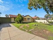 17 Middle Avenue, Paralowie, SA 5108