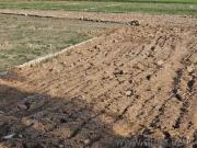 1800 Sq. ft Plot for Sale in Gosainganj, Lucknow