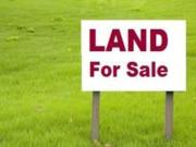 1800 Sq Ft Residential Plot In Omaxe Metro City, Gomti...