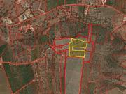 18080M2 EM ZONA DE INTENSO CULTIVO DE ESPÉCIES CÍTRICAS...