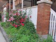 186 Mavety Street Main Floor Toronto ON M6P 2M2 1...