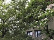 1875 Boulevard RenéLévesque Ouest 3 Montréal QC H3H 1R4...