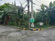 187 sqm Corner Lot for Sale in Greenwoods Pasig City