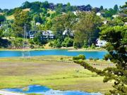 189 Morning Sun Avenue, Mill Valley, CA 94941