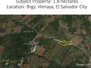 18,000 sqm Lot for Sale near Divine Mercy Shrine in...