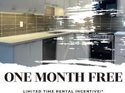 18 Cavell Avenue 1 Bedroom, 1 Bath Apartment for Rent