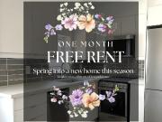 18 Cavell Avenue Studio Apartment for Rent