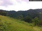 18 Hectares Talisay Batangas