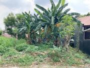 192 sqm Residential Lot for Sale at Filinvest Northview...