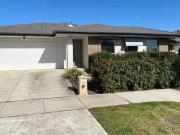195 Langtree Crescent, Crace, ACT 2911
