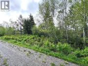 196 Ledge Road, Dufferin, NB E3L3P2 Land For Sale |...
