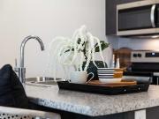 197 Hespeler Rd. 1 Bedroom Apartment for Rent at 197...